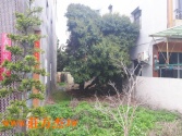 台中市神岡區豐原交流道建地建地 台中市神岡區豐原交流道建地建地